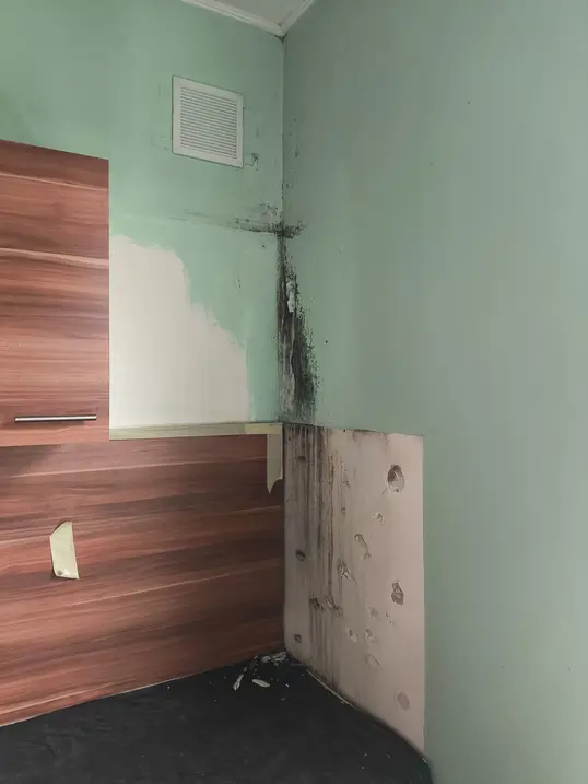 konyha-fal-penesz-felujitas-bekasmegyer