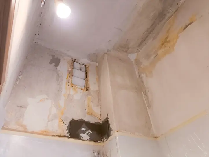 painting-services-budapest